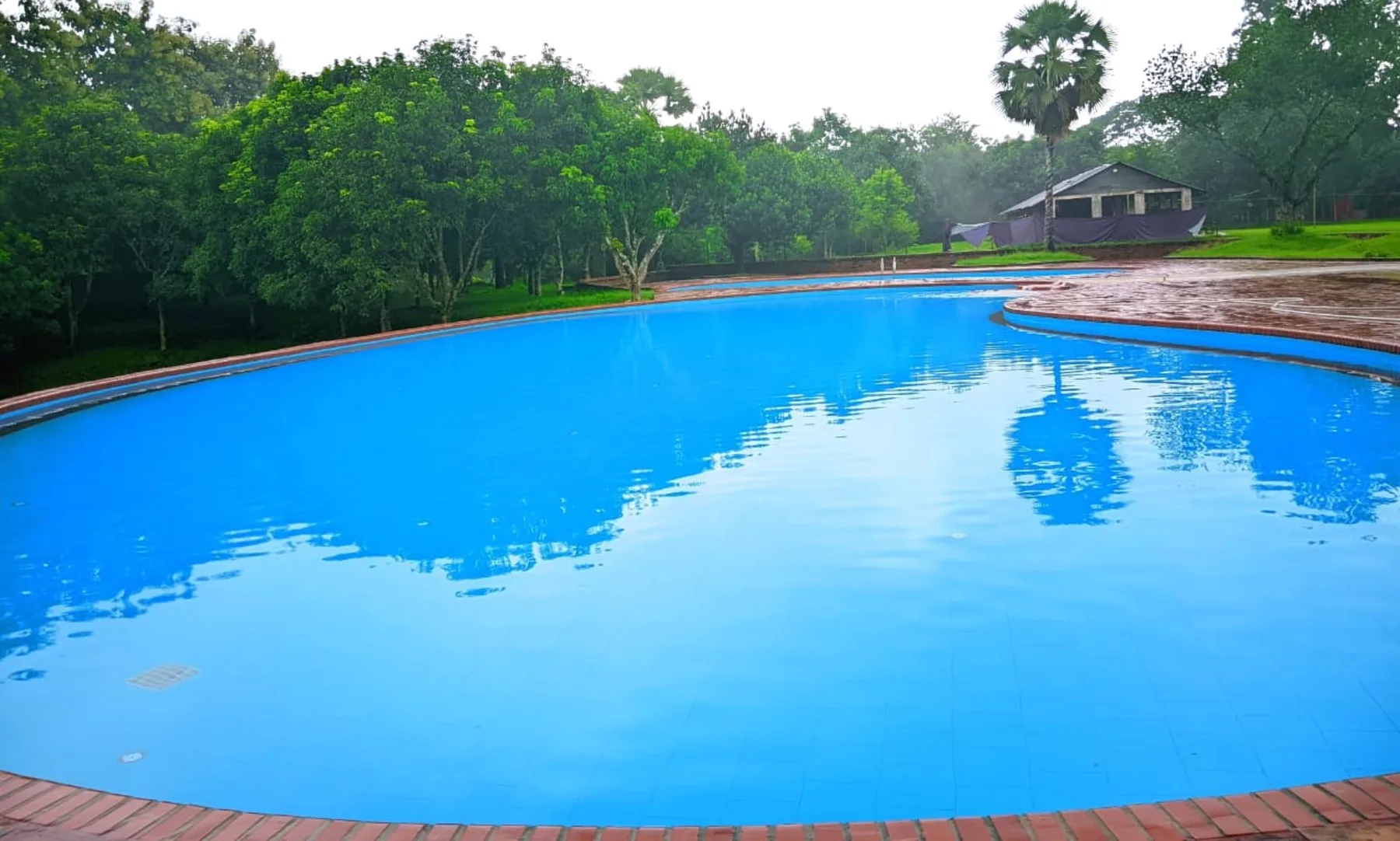 Large swimming pool surrounded by trees at Matir Maya Eco Resort, Gazipur