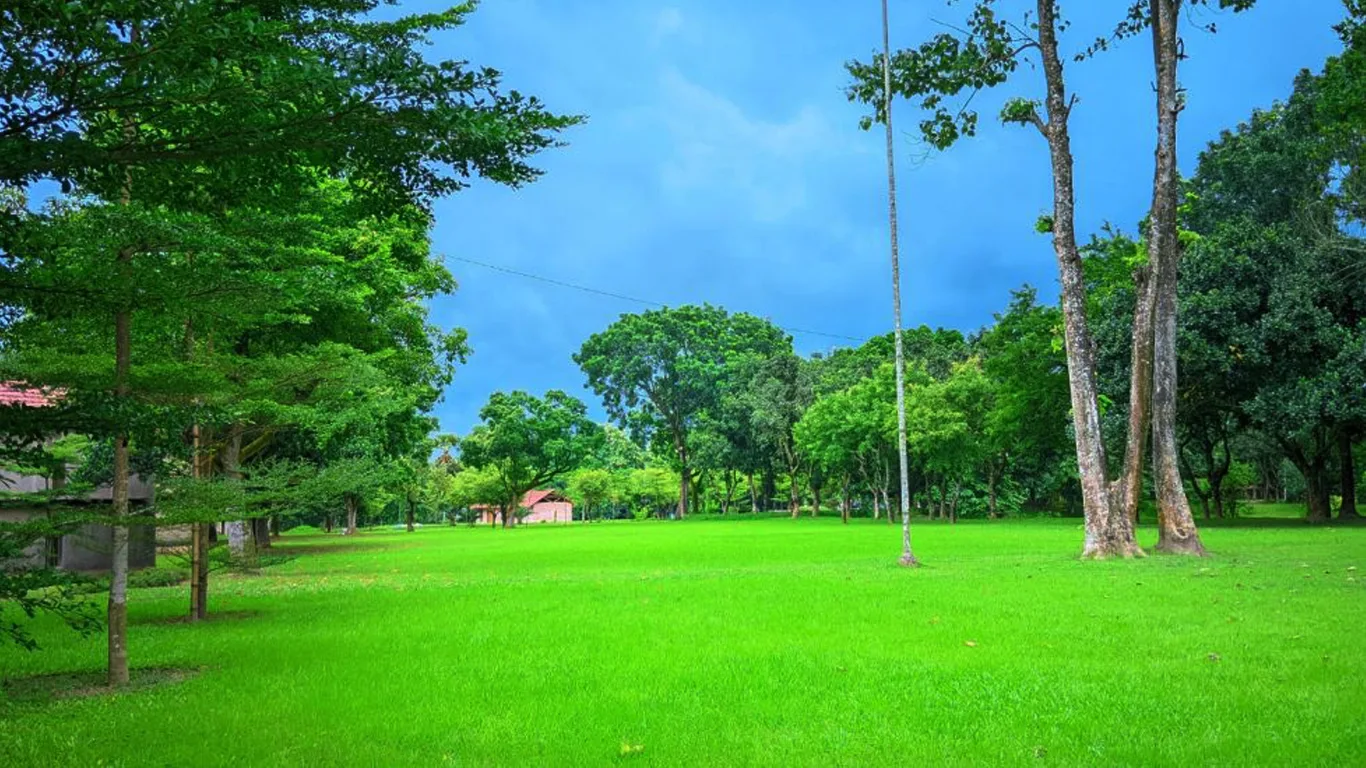 Wide green lawn with tall trees at the eco resort near Dhaka